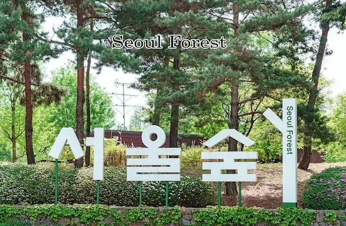 소담스테이 Apartamento *
